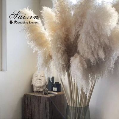 White Beige Pampasgras Event Decor Wedding Artificial Flowers For Tables Decoration
