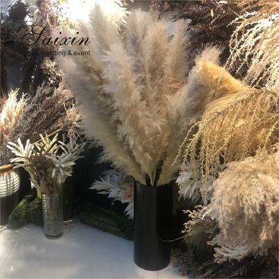 White Beige Pampasgras Event Decor Wedding Artificial Flowers For Tables Decoration