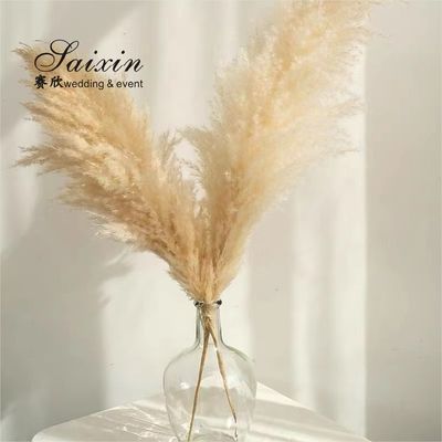 White Beige Pampasgras Event Decor Wedding Artificial Flowers For Tables Decoration