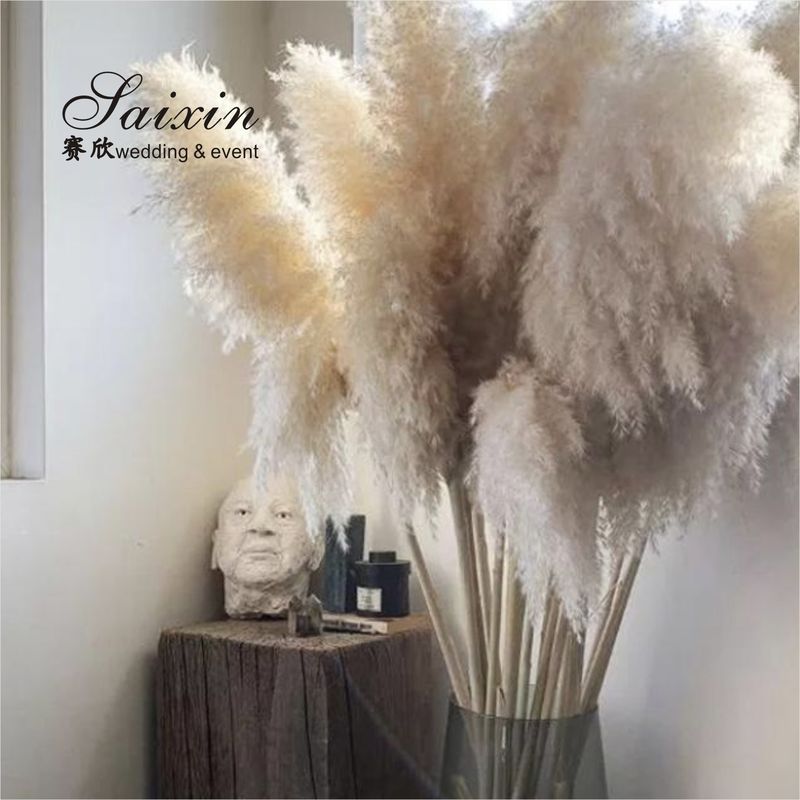 White Beige Pampasgras Event Decor Wedding Artificial Flowers For Tables Decoration